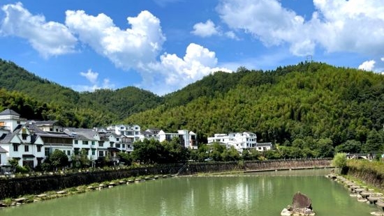 跟著總書記看中國丨浙江科技特派員：把論文寫在大地上 把成果留在百姓家